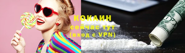 стаф Богородицк