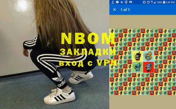 стаф Богородицк