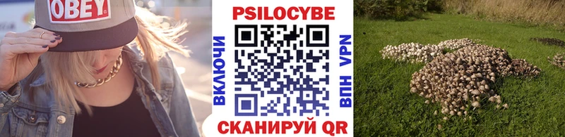Галлюциногенные грибы Psilocybine cubensis  Минеральные Воды 