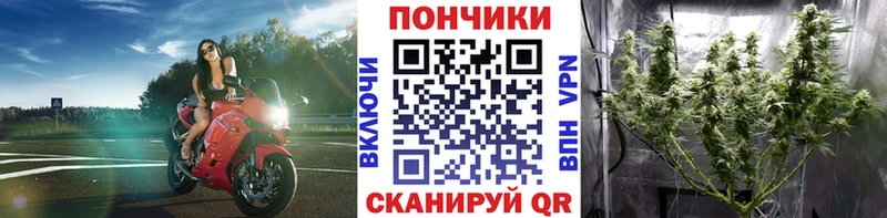 как найти наркотики  Минеральные Воды  Марихуана OG Kush 